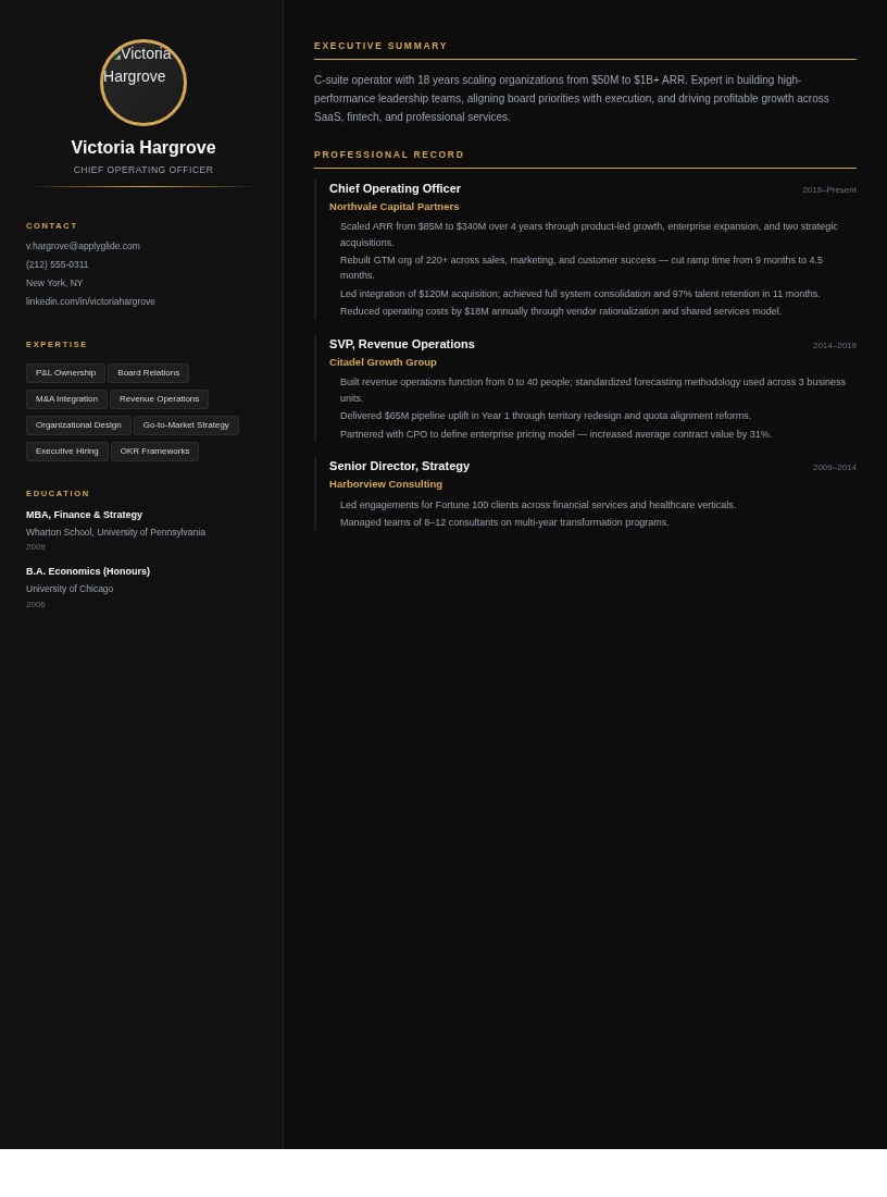 Dossier resume template preview
