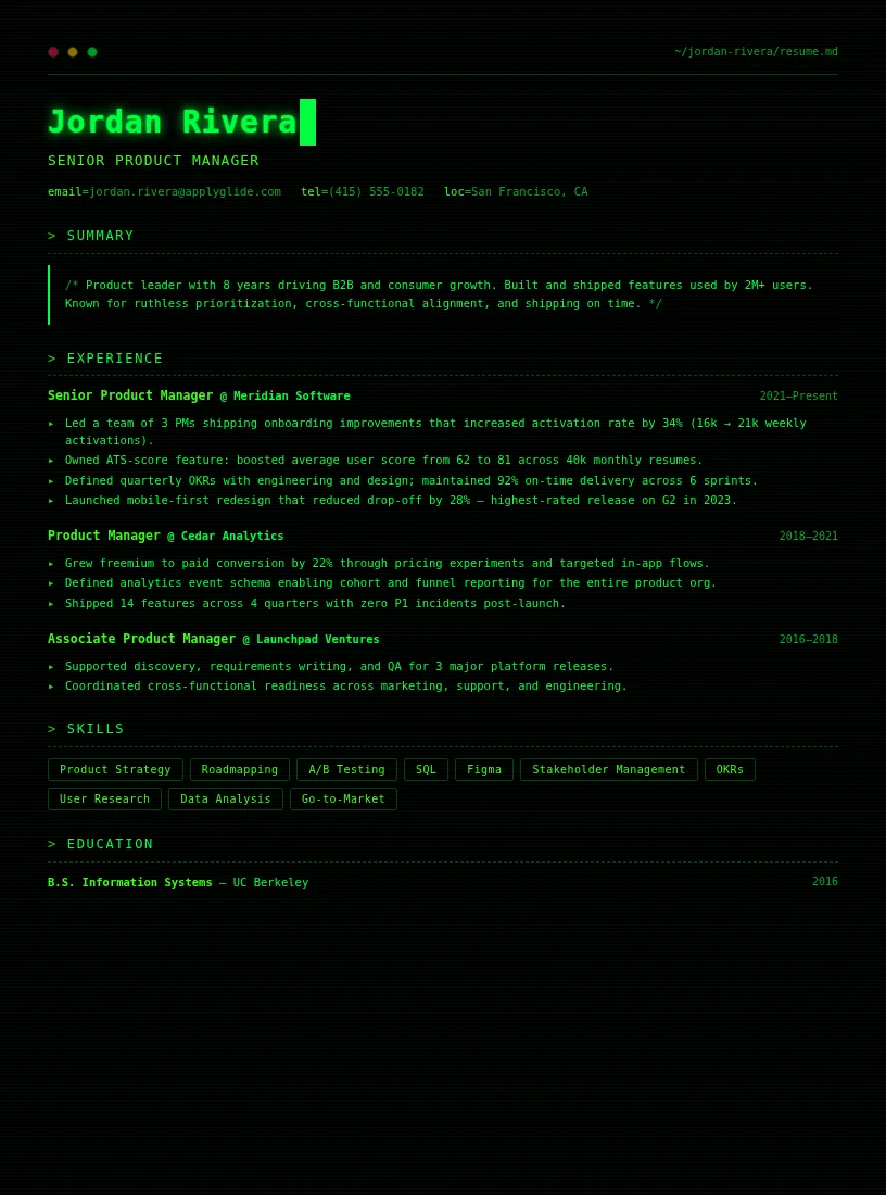 Matrix Coder resume for Hotel Revenue Manager