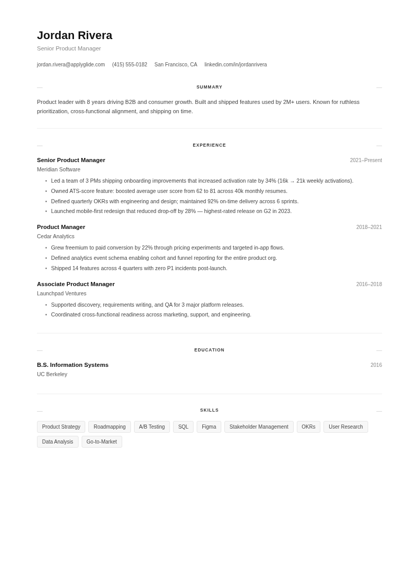 Nordic resume template preview