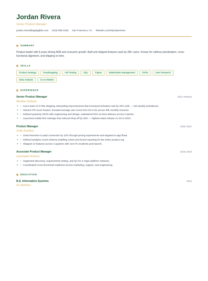 Valor resume template preview