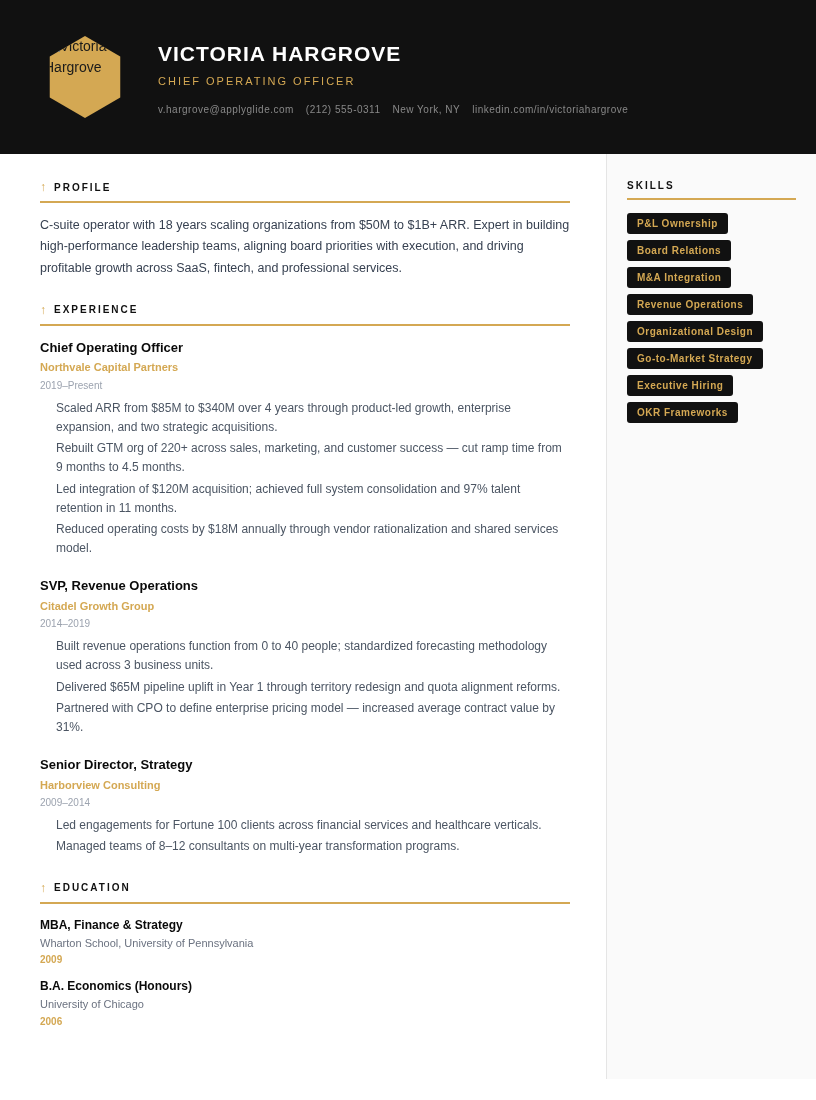 Zenith resume template preview